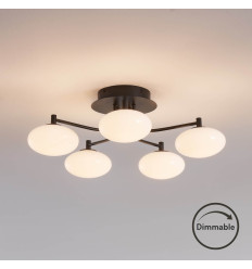 Dimbare zwart-witte plafondlamp met 5 lichtgevende bollen... 2